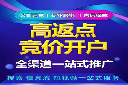 谷歌竞价广告与社交媒体结合的营销案例探讨